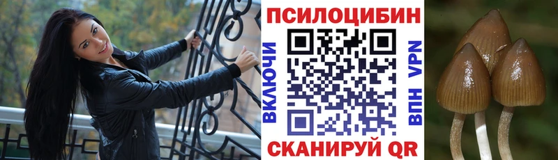 Псилоцибиновые грибы прущие грибы  Щёлково 
